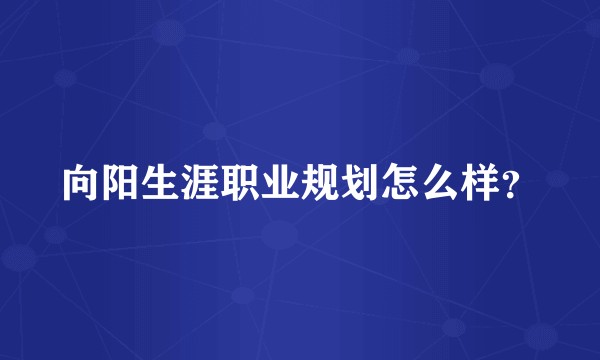 向阳生涯职业规划怎么样？