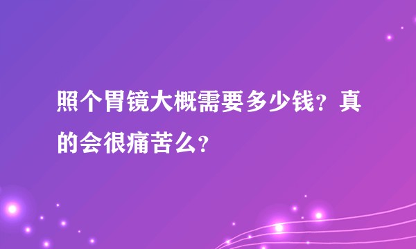 照个胃镜大概需要多少钱？真的会很痛苦么？