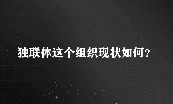 独联体这个组织现状如何？
