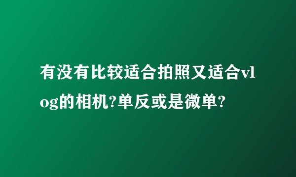 有没有比较适合拍照又适合vlog的相机?单反或是微单?