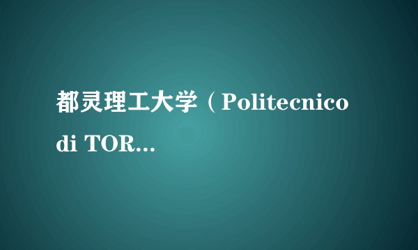 都灵理工大学（Politecnico di TORINO）怎么样?