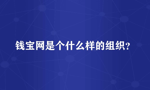 钱宝网是个什么样的组织？