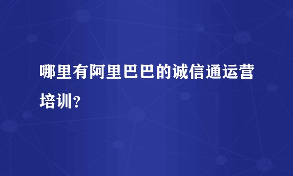哪里有阿里巴巴的诚信通运营培训？