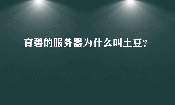 育碧的服务器为什么叫土豆？
