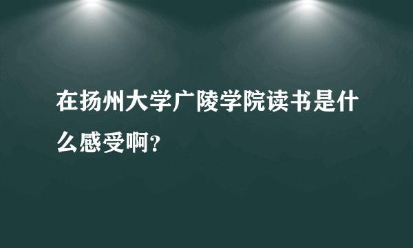 在扬州大学广陵学院读书是什么感受啊？
