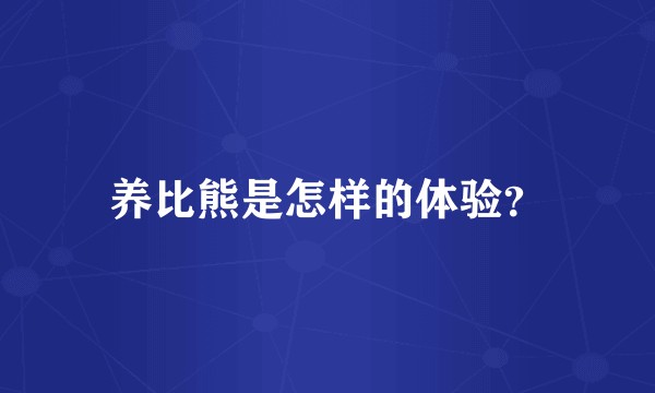 养比熊是怎样的体验？