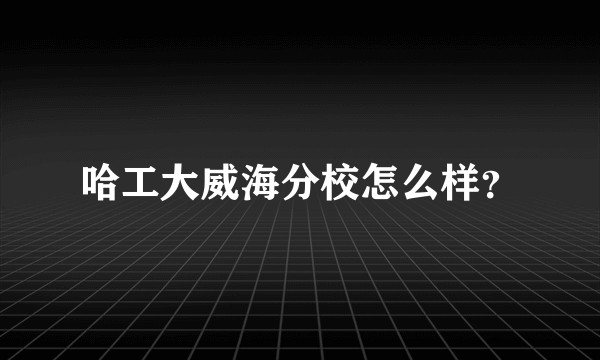 哈工大威海分校怎么样？