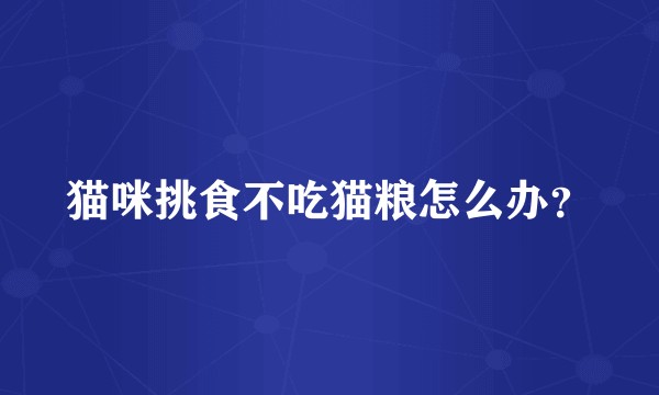 猫咪挑食不吃猫粮怎么办？