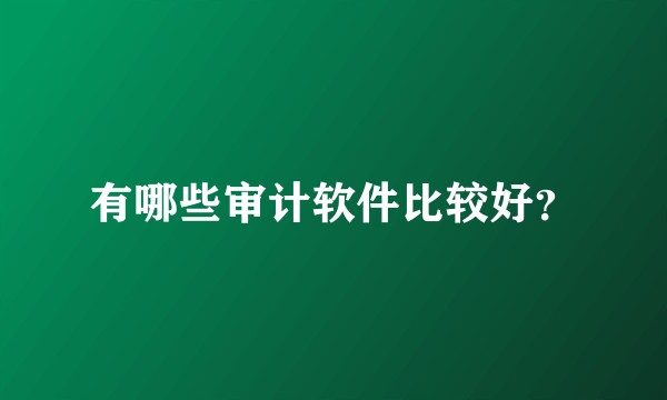 有哪些审计软件比较好？