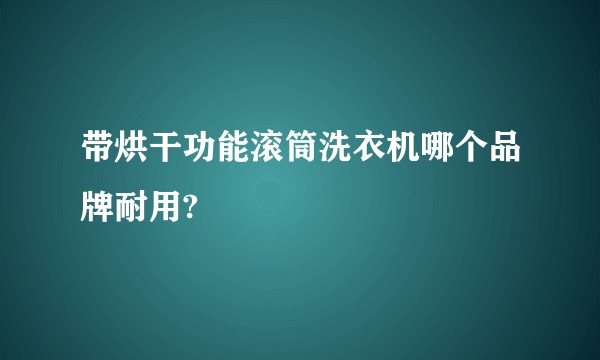 带烘干功能滚筒洗衣机哪个品牌耐用?