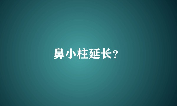 鼻小柱延长？