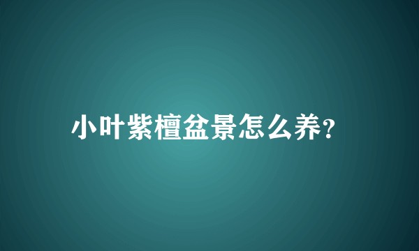 小叶紫檀盆景怎么养？