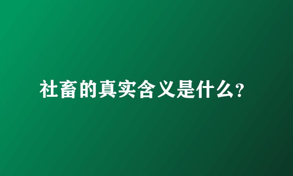 社畜的真实含义是什么？