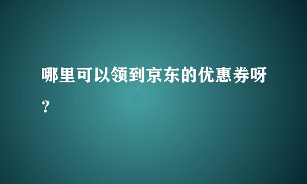 哪里可以领到京东的优惠券呀?