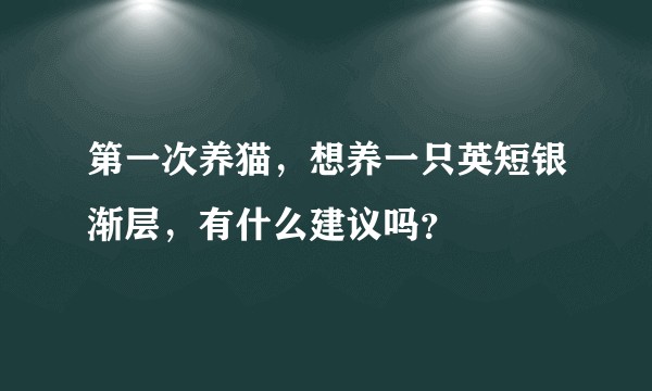 第一次养猫，想养一只英短银渐层，有什么建议吗？