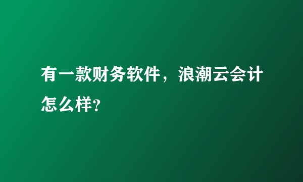 有一款财务软件，浪潮云会计怎么样？
