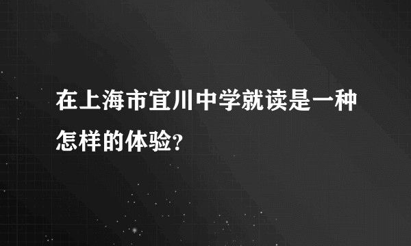 在上海市宜川中学就读是一种怎样的体验？