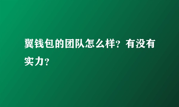 翼钱包的团队怎么样？有没有实力？