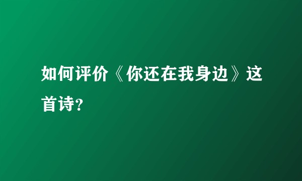 如何评价《你还在我身边》这首诗？