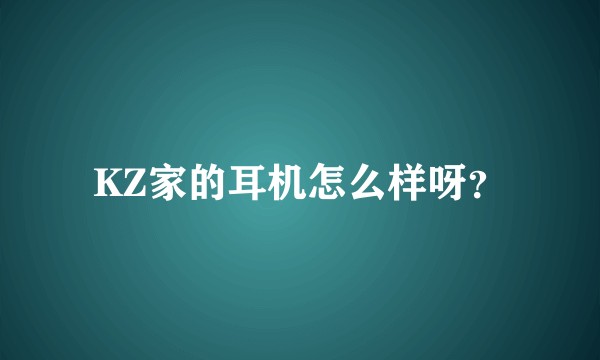 KZ家的耳机怎么样呀？