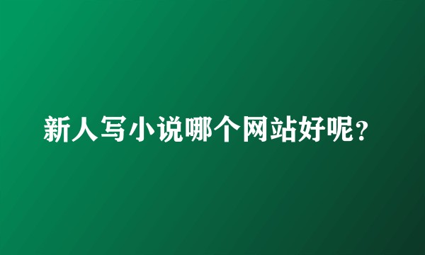 新人写小说哪个网站好呢？