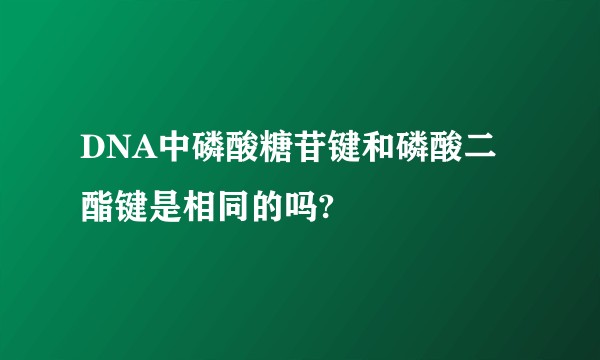 DNA中磷酸糖苷键和磷酸二酯键是相同的吗?