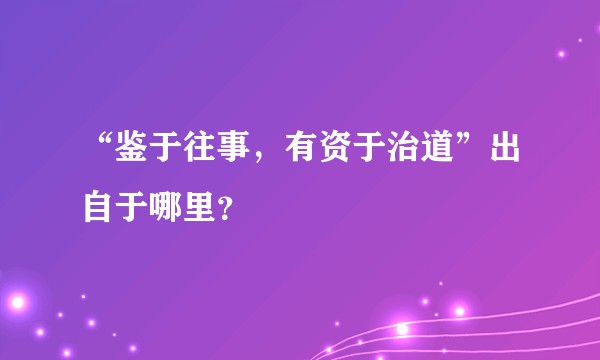 “鉴于往事，有资于治道”出自于哪里？