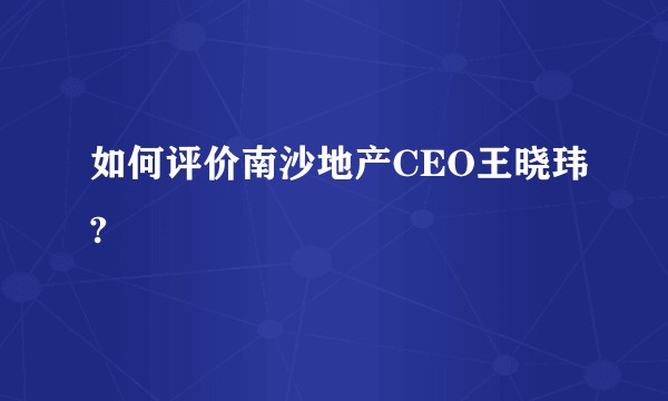 如何评价南沙地产CEO王晓玮?