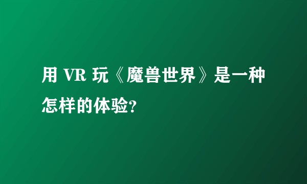 用 VR 玩《魔兽世界》是一种怎样的体验？