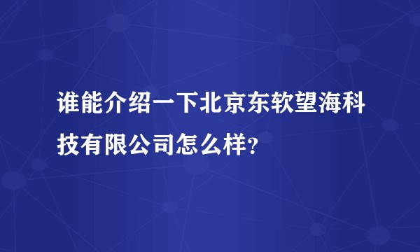 谁能介绍一下北京东软望海科技有限公司怎么样？