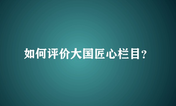 如何评价大国匠心栏目？