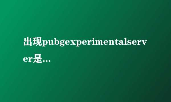 出现pubgexperimentalserver是什么意思?