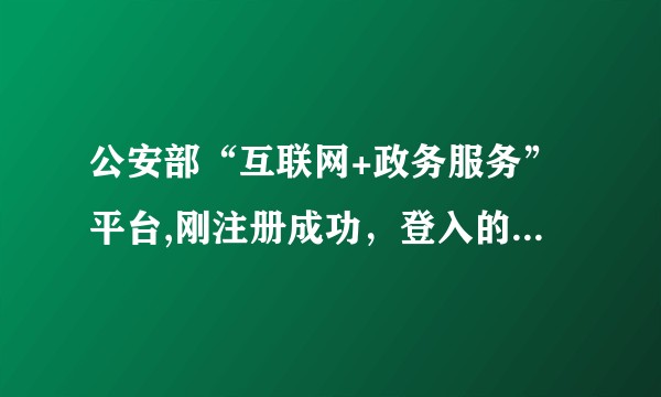 公安部“互联网+政务服务”平台,刚注册成功,登入的时候总是显示登入失败是怎么回事?