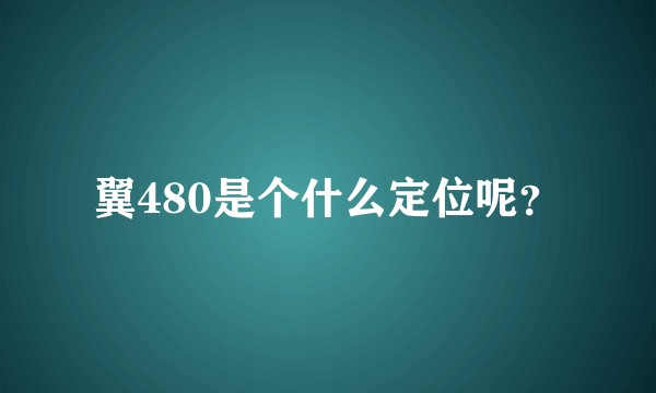 翼480是个什么定位呢？