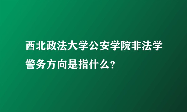 西北政法大学公安学院非法学警务方向是指什么？
