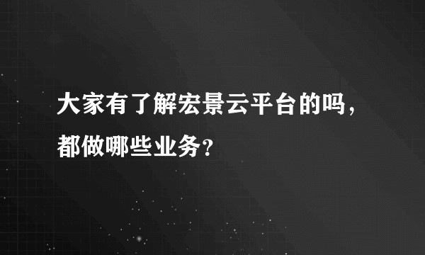 大家有了解宏景云平台的吗，都做哪些业务？