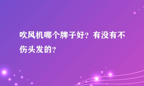 吹风机哪个牌子好？有没有不伤头发的？