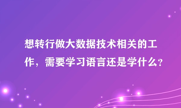 想转行做大数据技术相关的工作，需要学习语言还是学什么？