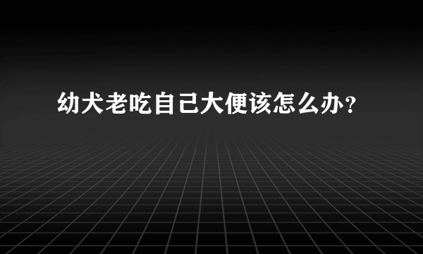 幼犬老吃自己大便该怎么办？