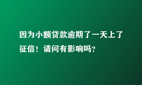 因为小额贷款逾期了一天上了征信！请问有影响吗？