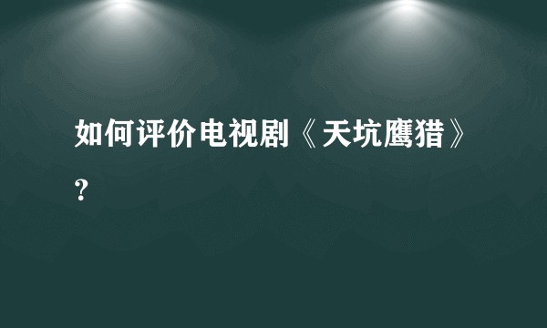 如何评价电视剧《天坑鹰猎》？