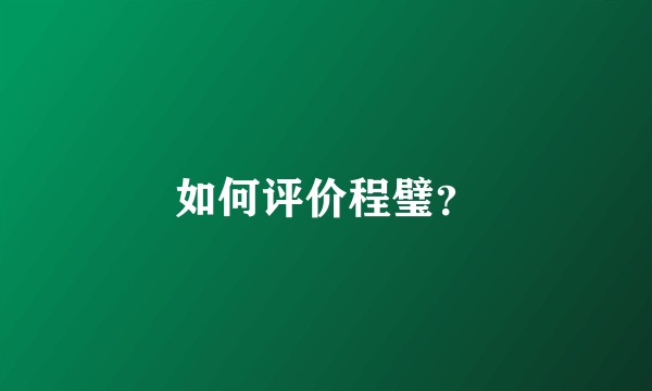 如何评价程璧？