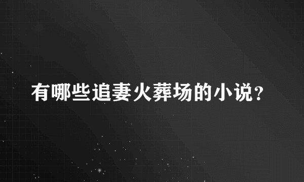 有哪些追妻火葬场的小说？