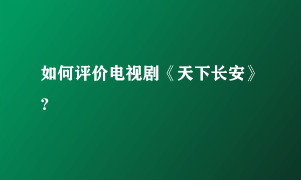 如何评价电视剧《天下长安》？