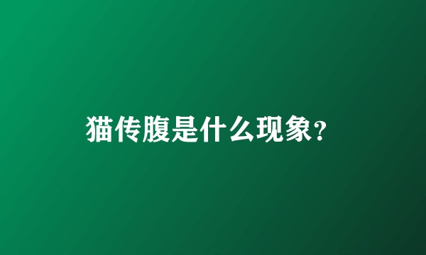 猫传腹是什么现象？