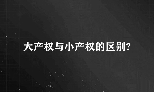 大产权与小产权的区别?