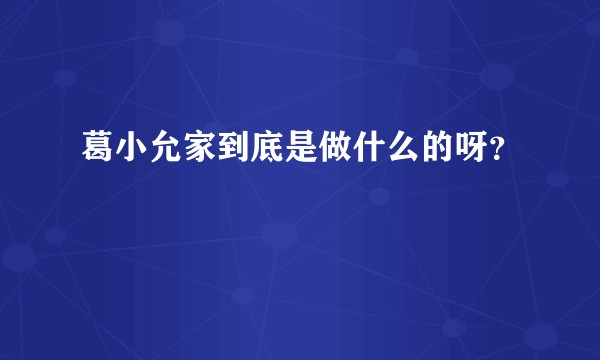 葛小允家到底是做什么的呀？
