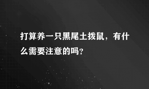 打算养一只黑尾土拨鼠，有什么需要注意的吗？