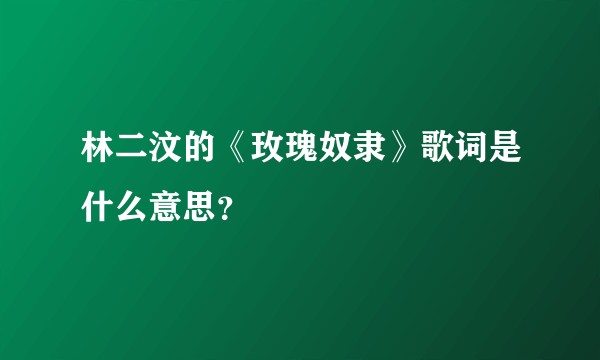 林二汶的《玫瑰奴隶》歌词是什么意思？