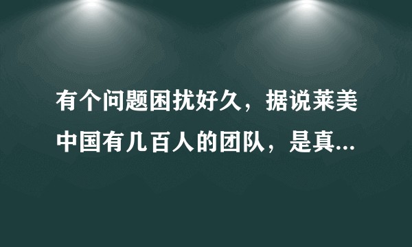有个问题困扰好久，据说莱美中国有几百人的团队，是真的吗？到底有多少人啊？